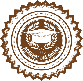 l'academy des chiens