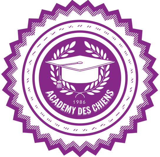 l'academy des chiens